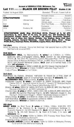 Stratosphere x Goji Filly