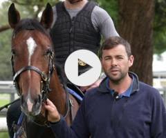 Alabama Express x Pikari Star Colt