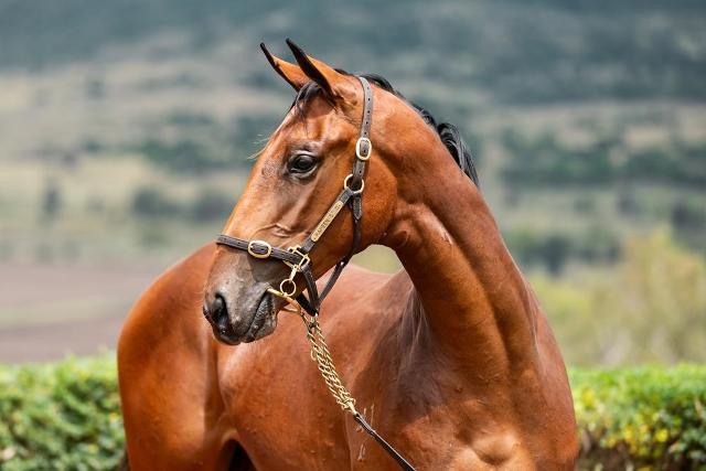 Spirit Of Boom x Fleet Riane 24F