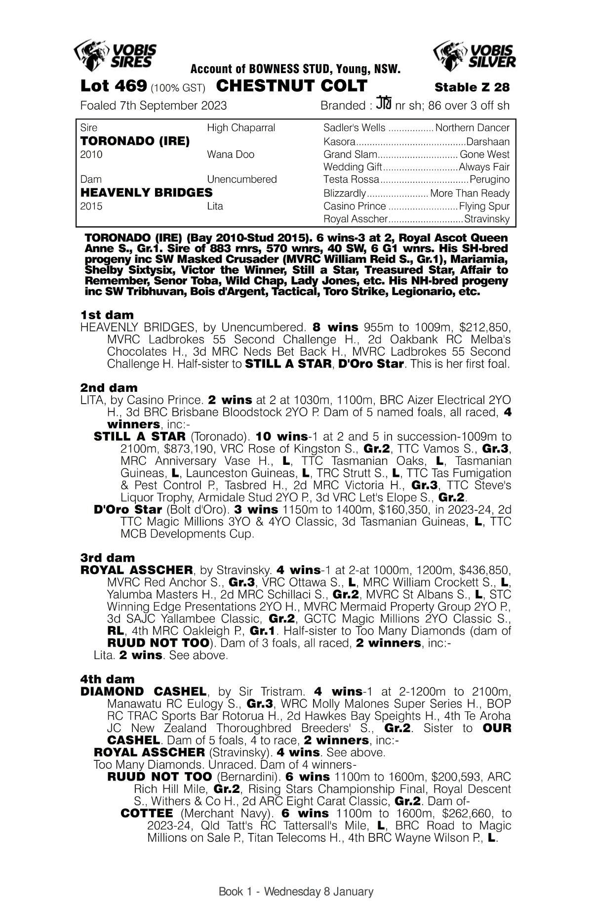 Toronado X Heavenly Bridges