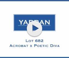 Acrobat x Poetic Diva