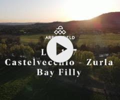 Castelvecchio/Zurla