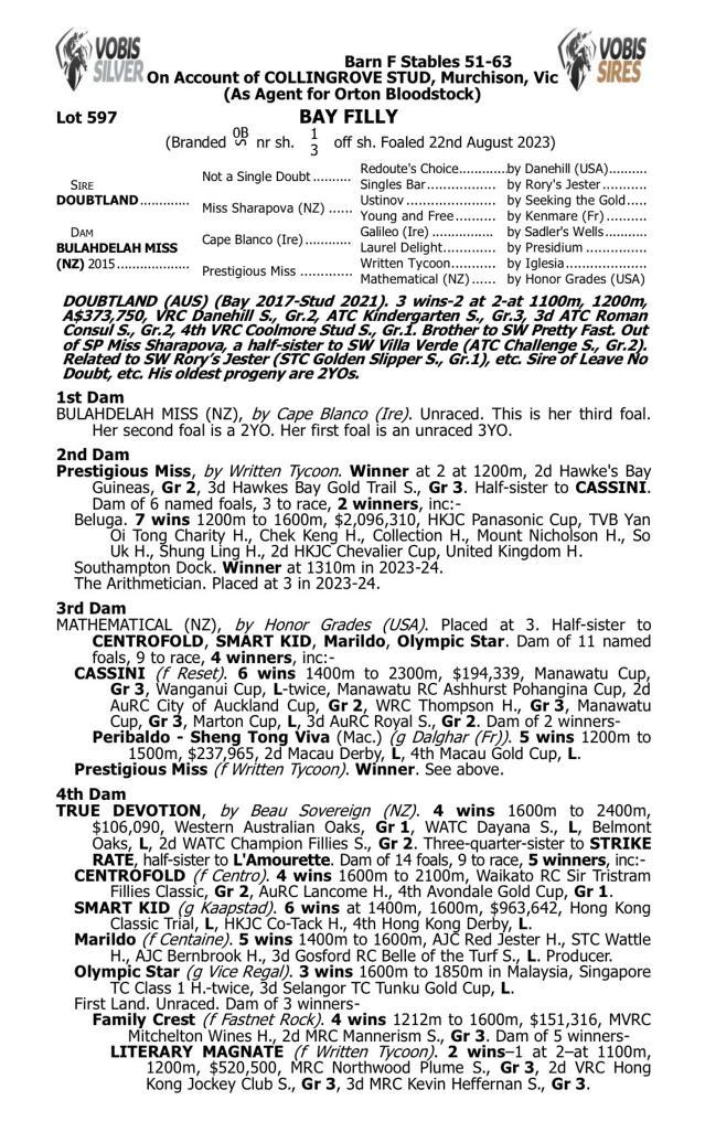 Doubtland x Bulahdelah Miss '23 Filly