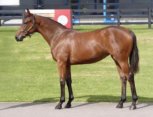 Pride Of Dubai x Essence