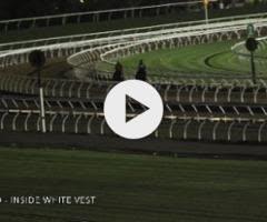 Toronado x Fulfilling Colt