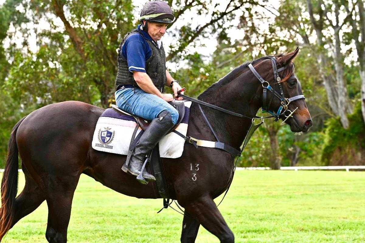 Spirit of Boom x Marluccio Filly