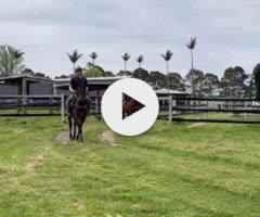 King's Legacy X Cryptic Jewel