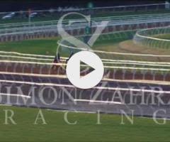 Castelvecchio x Street 'Em Sheila Colt