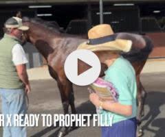 Zoustar/Ready To Prophet '24