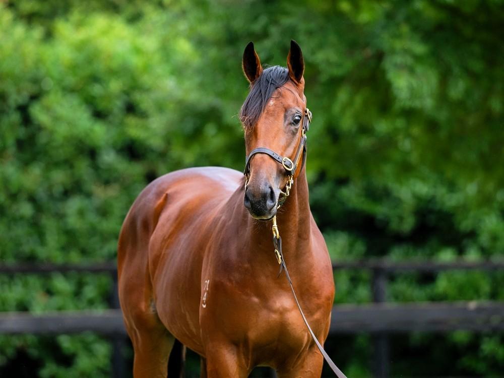 Grunt x Touch a Cloud