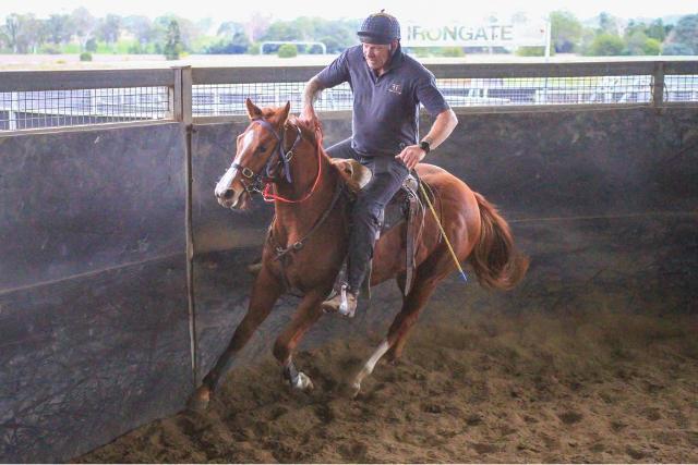 Street Boss x Ariege ‘23 Filly