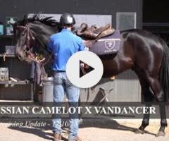 Russian Camelot x Vandancer