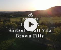 Snitzel/Dalt Vila '24