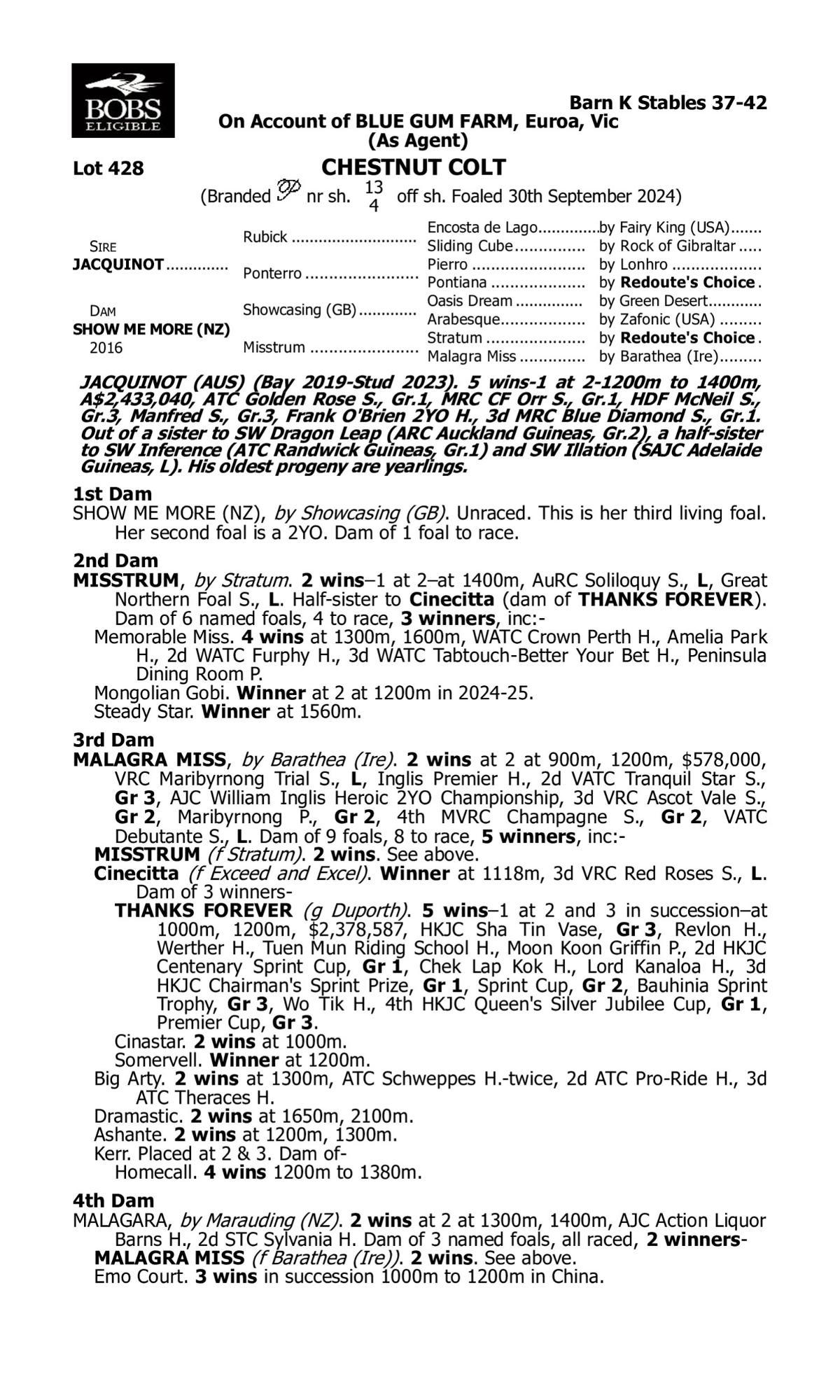 Jacquinot x Show Me More Colt
