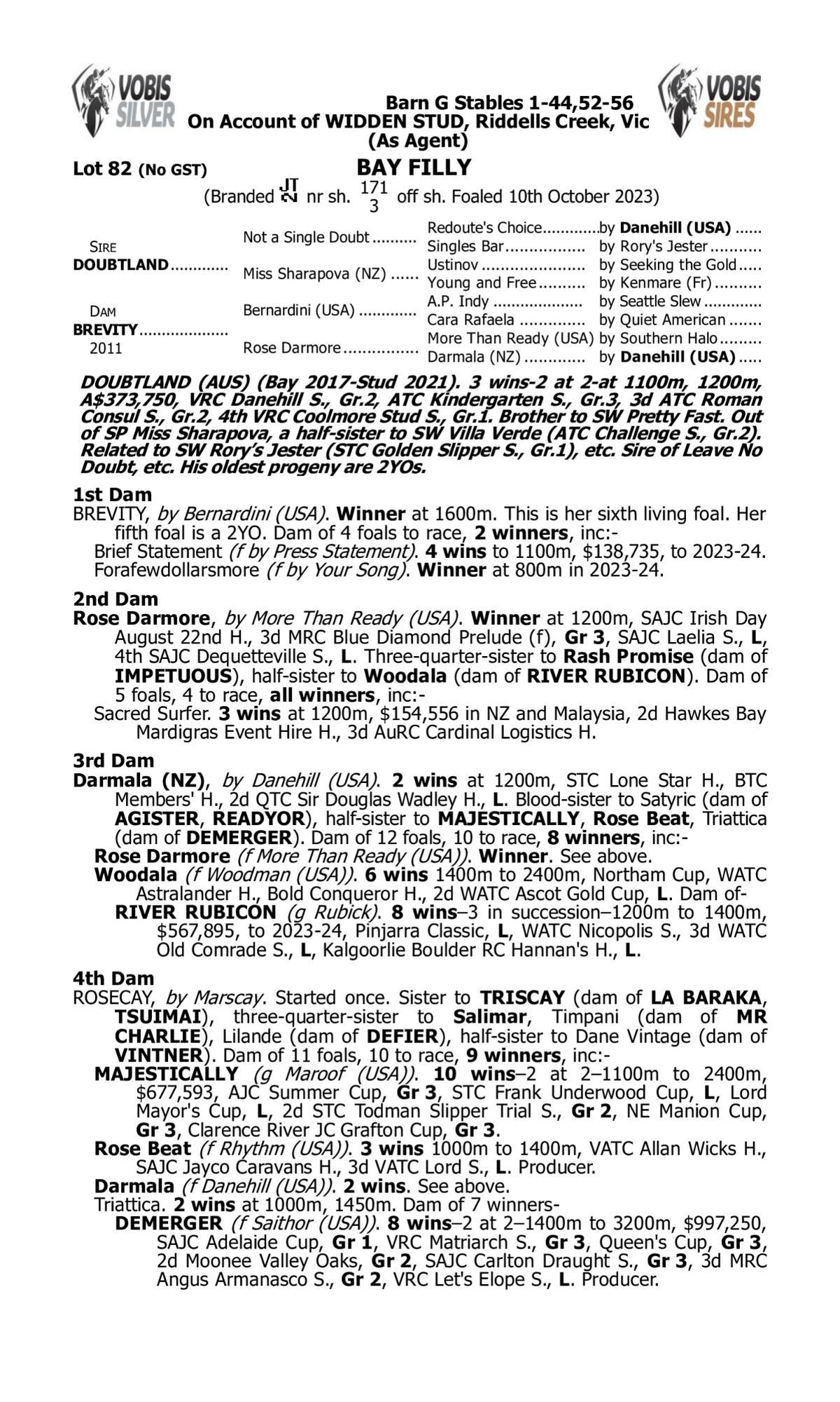 Doubtland / Brevity Filly '23
