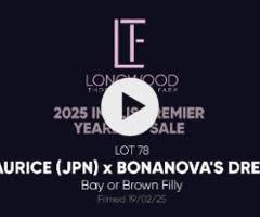 Maurice x Bonanova's Dream '23