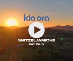 Snitzel/Amiche '24
