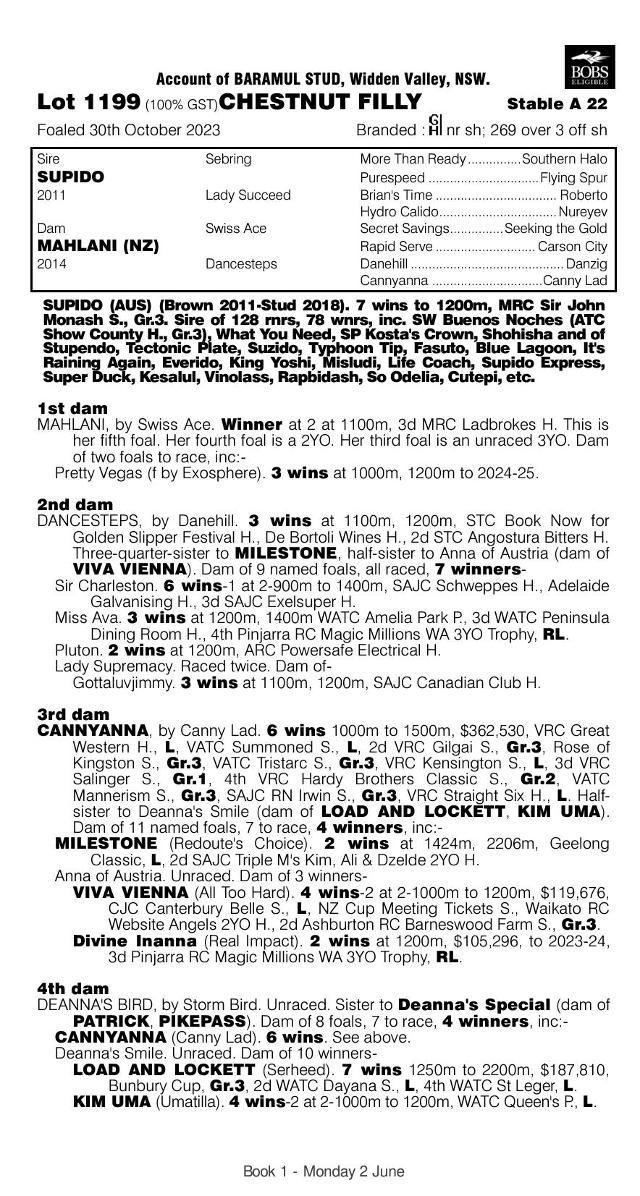 Supido x Mahlani filly