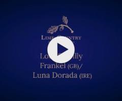 Frankel x Luna Dorada '24