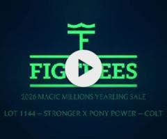 Stronger x Pony Power