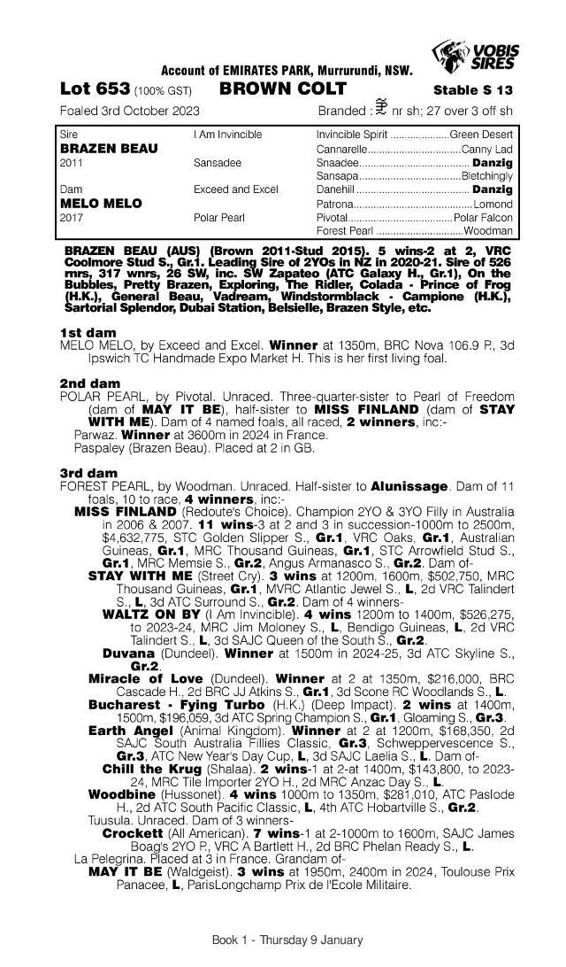 Brazen Beau x Melo Melo '23 Colt