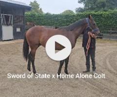 Sword of State x Home Alone