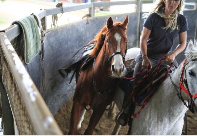 Street Boss x Ariege ‘23 Filly