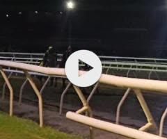 Spirit of Boom x Marluccio Filly