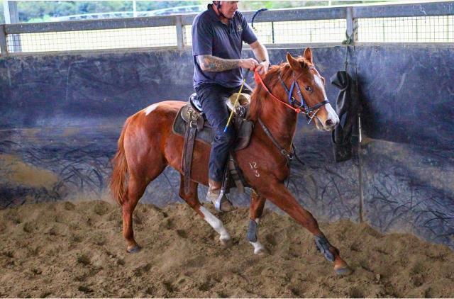 Street Boss x Ariege ‘23 Filly