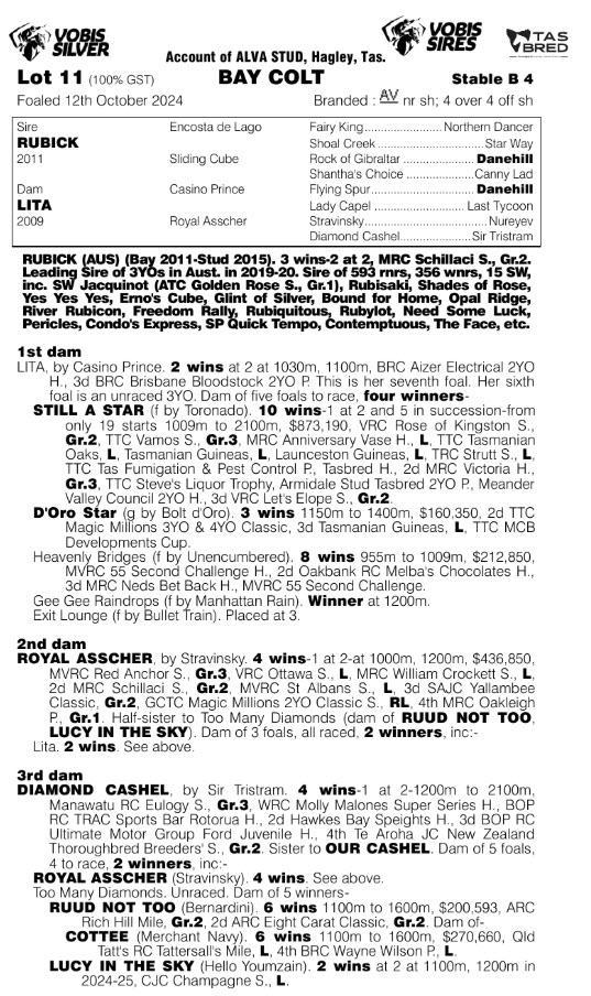 2024 Rubick x Lita Colt