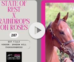State Of Rest / Raindrops On Roses 24 F