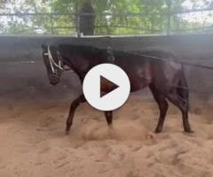 Profondo x Drop The Beat