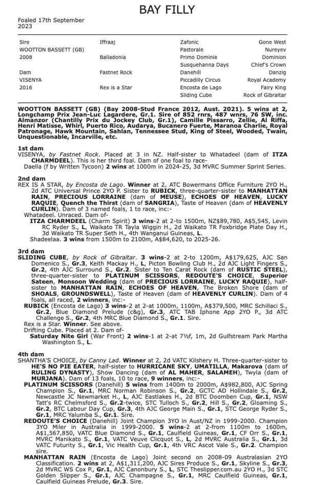 Wootton Bassett / Visenya 23 Filly