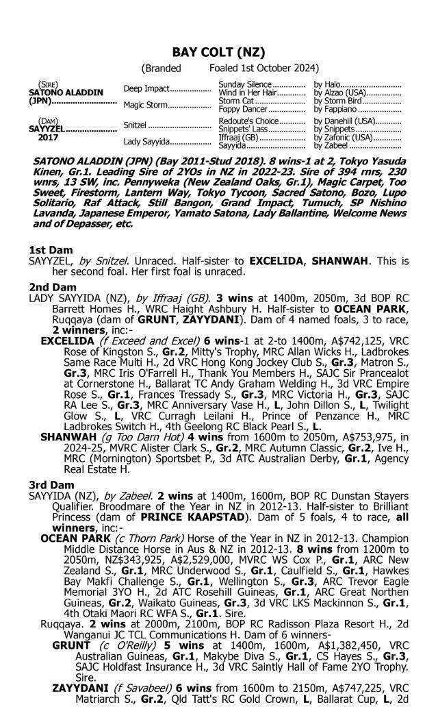 Satono Aladdin/Sayyzel '24