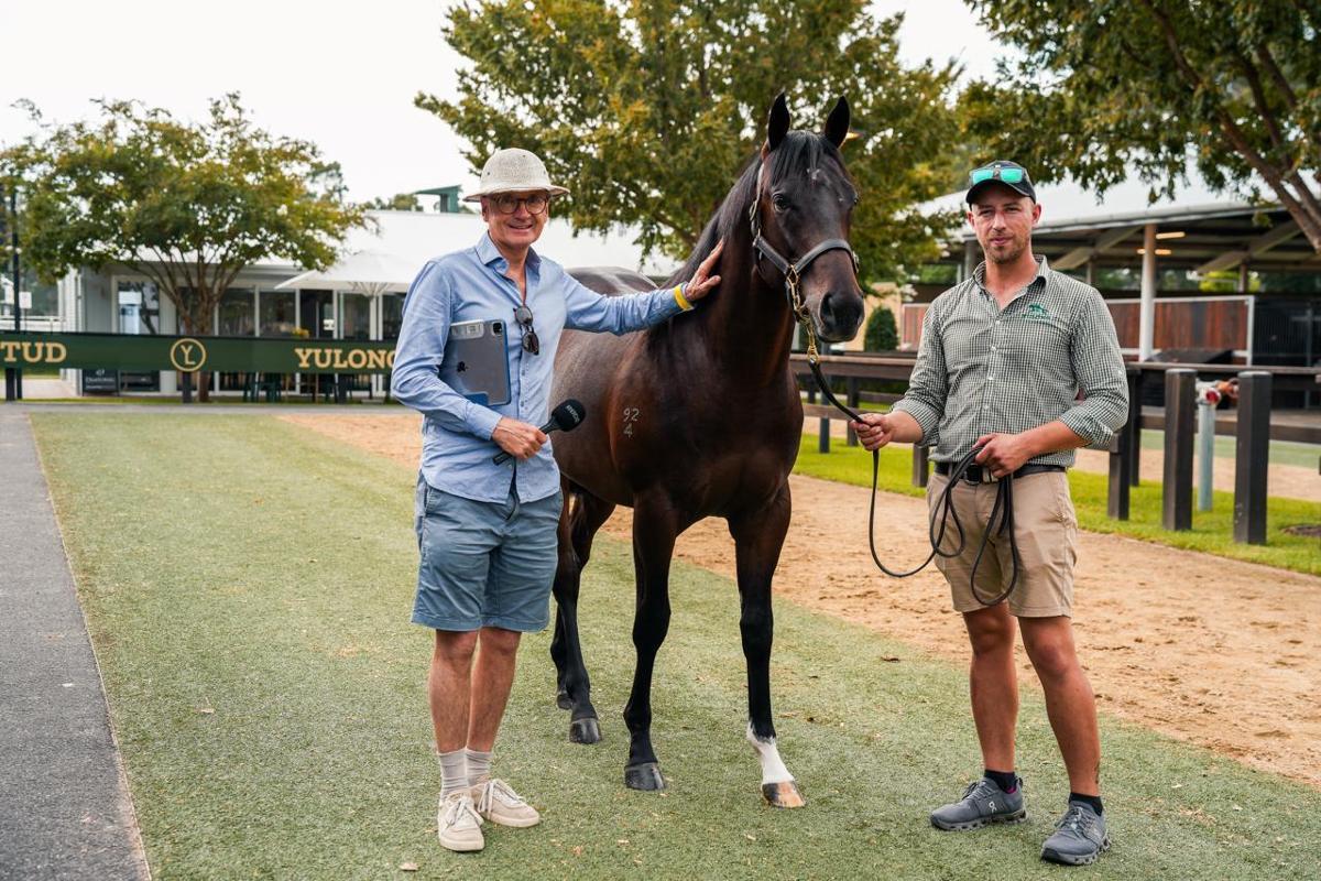 Diatonic x Diamond Delight