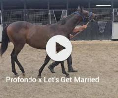 Profondo x Let's Get Married