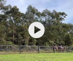 Castelvecchio filly X Charm School