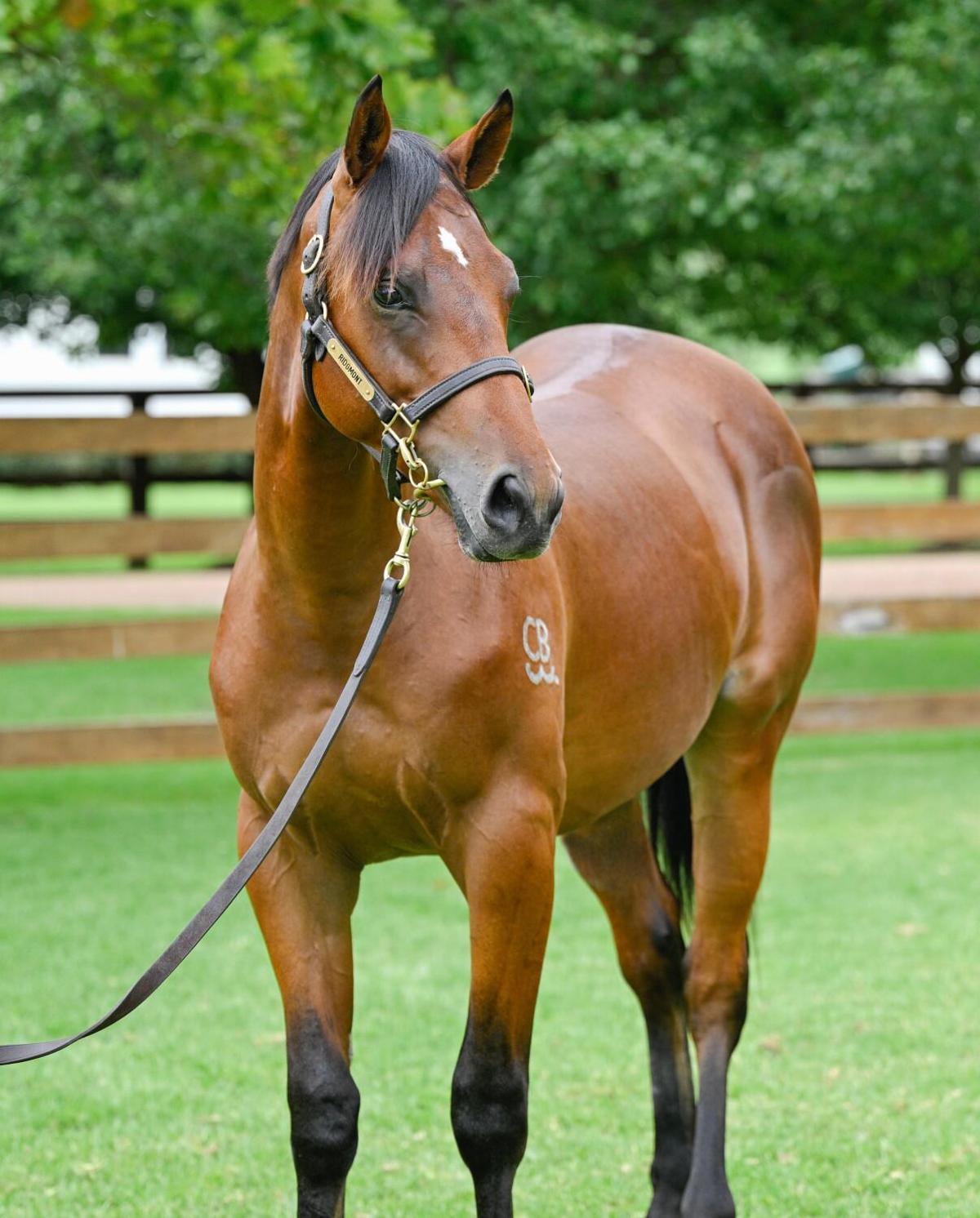 Exceed And Excel x Florent