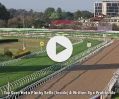 Too Darn Hot/Plucky Belle '23