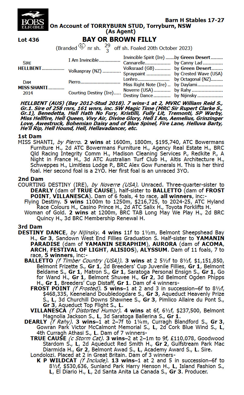 Hellbent x Miss Shanti