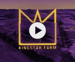 Russian Revolution x Munjai