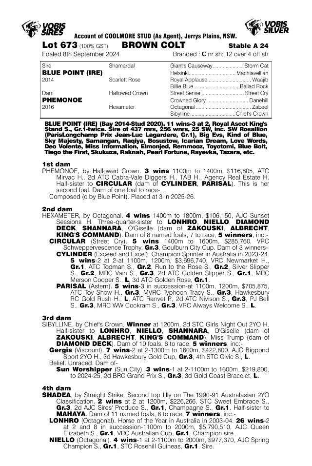 Phemonoe X Blue Point '24 Colt