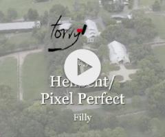 Hellbent x Pixel Perfect filly