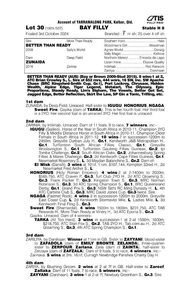 BTR x Zunaida 1YO Filly