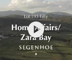 Home Affairs/Zara Bay '24