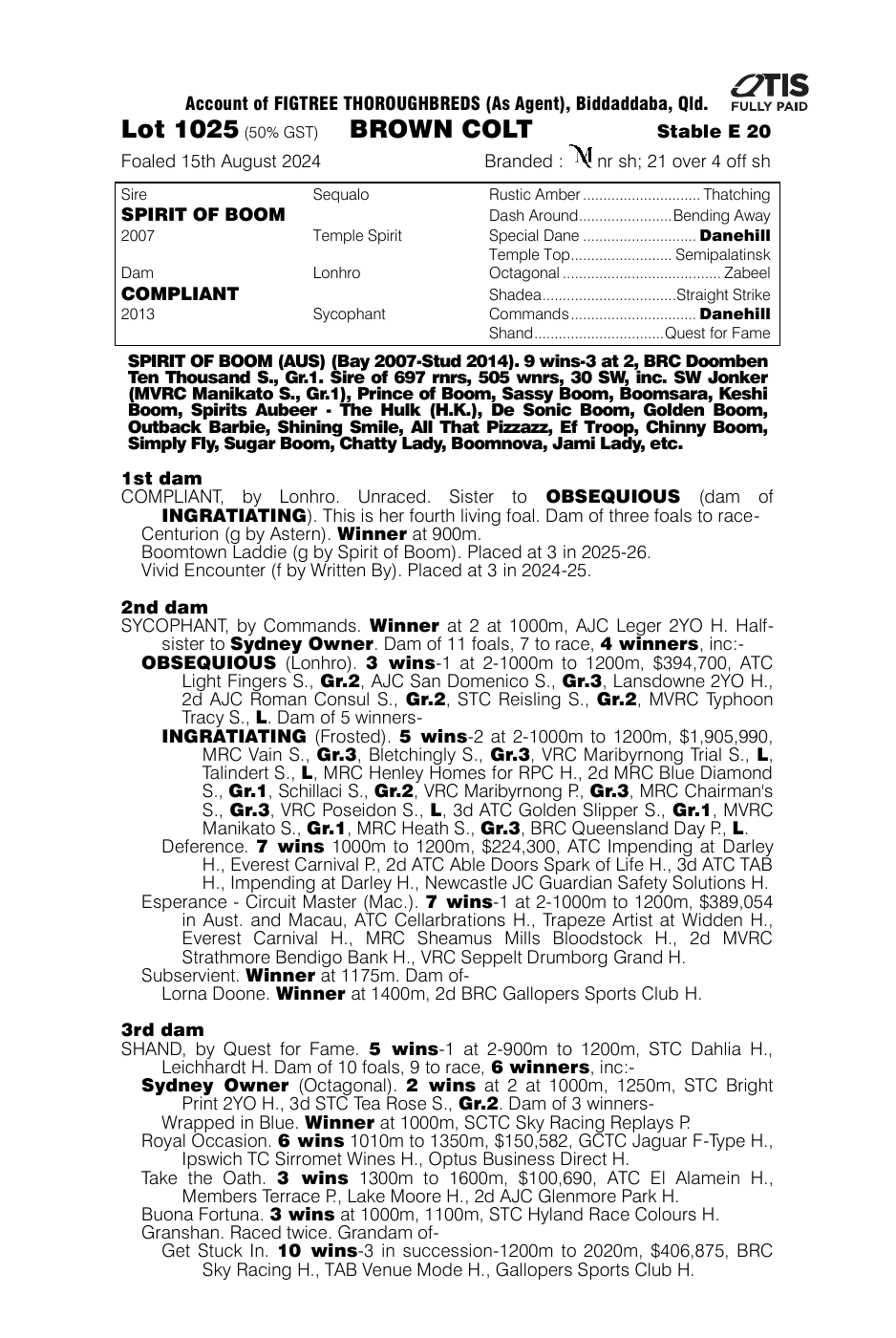 Spirit of Boom x Compliant