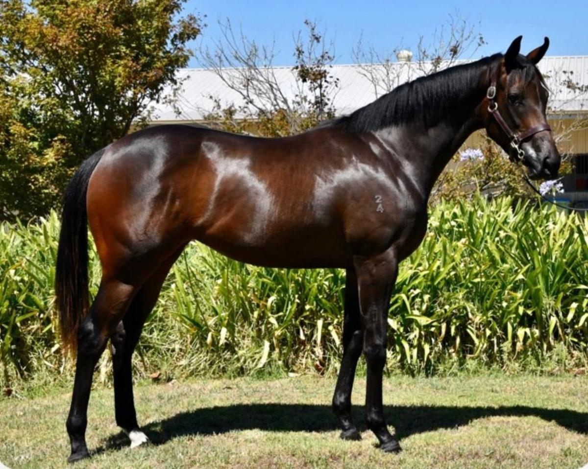 State Of Rest x High Hostess