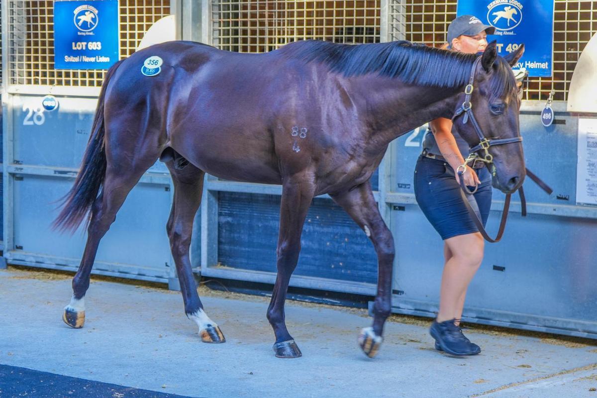 Brutal x Honey Blossom - 40% Remaining