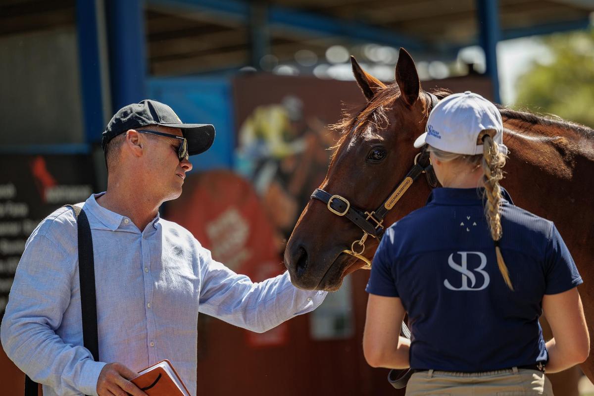 Shamus Award x Mirfa