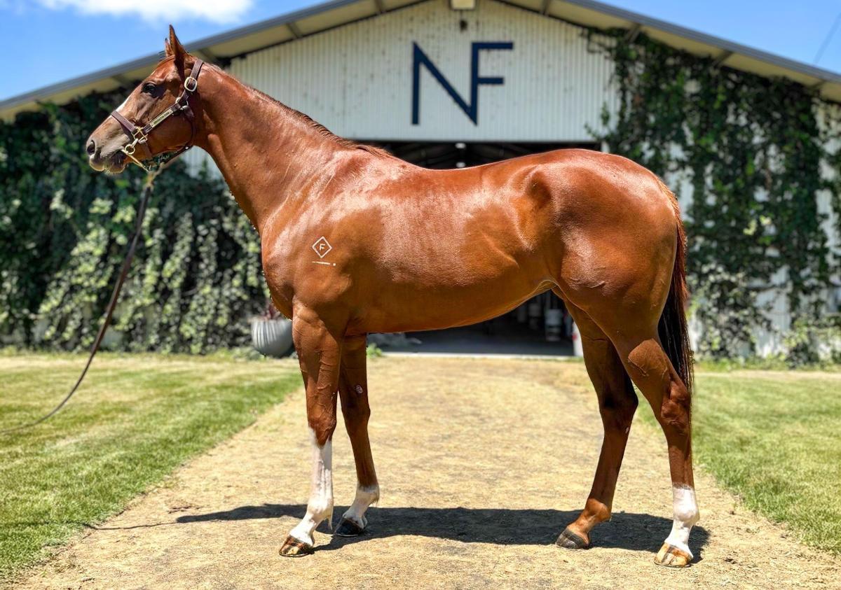 Anders x Why're You Waiting 23